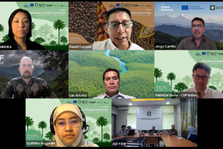 screen shot of people participating in a webinar