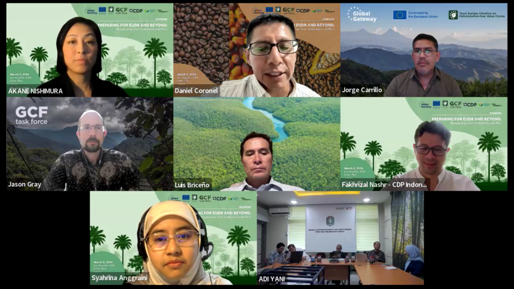 screen shot of people participating in a webinar