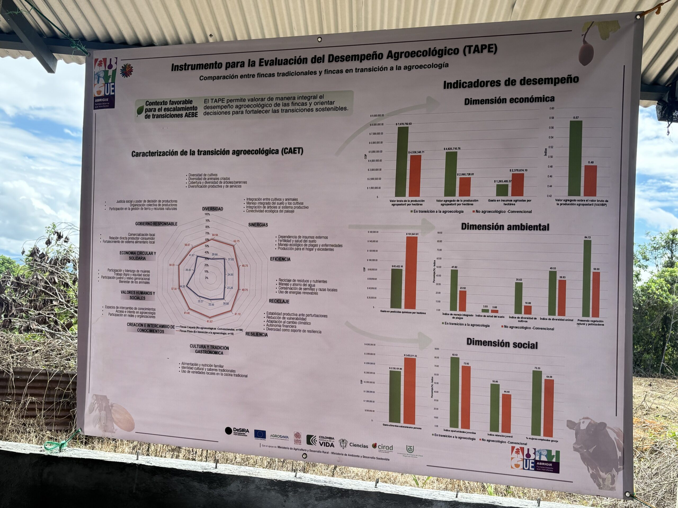 image of scientific research poster