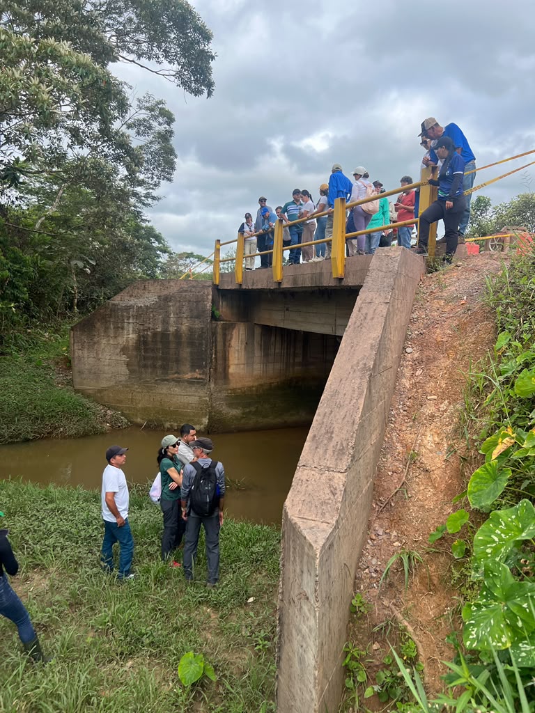 people on a bridge