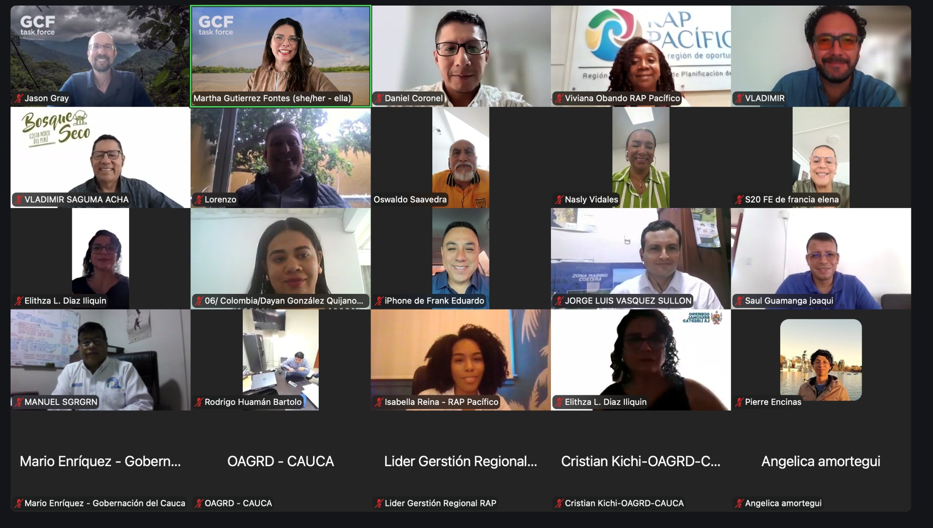 Zoom meeting screenshot with 20 speakers