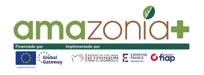 Amazonia+ logo