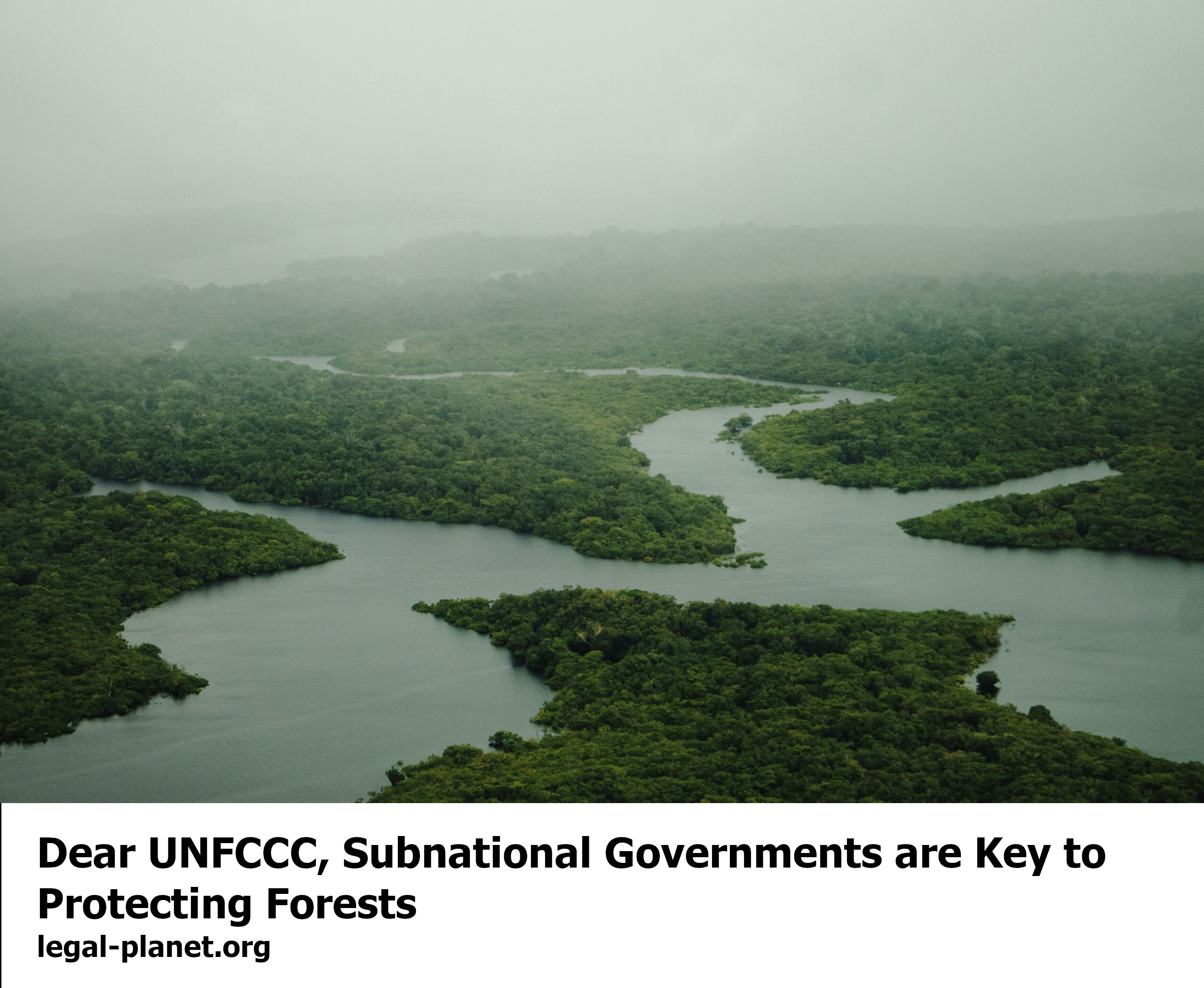 Dear UNFCCC, Subnational Governments are Key to Protecting Forests legal-planet.org
