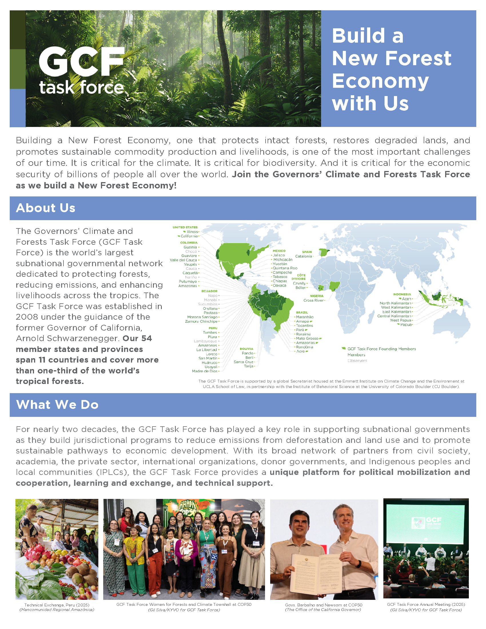 GCF Task Force brochure on New Forest Economy