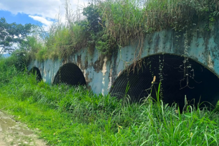 Dry crossing for wildlife implemented at the Puente del Amor (Bridge of Love) over the Zamora River to promote wildlife connectivity, Yantzaza canton, Zamora Chinchipe province. Source: NCI