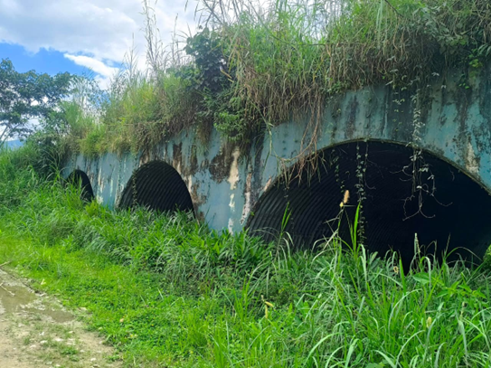 Dry crossing for wildlife implemented at the Puente del Amor (Bridge of Love) over the Zamora River to promote wildlife connectivity, Yantzaza canton, Zamora Chinchipe province. Source: NCI